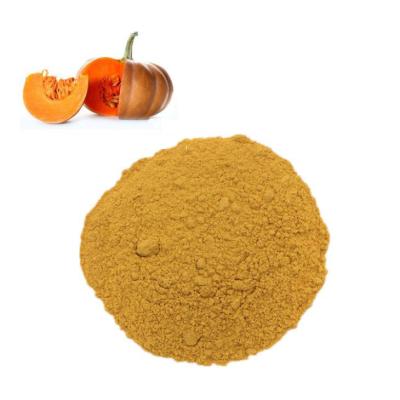 China Factory Direct Supply Dry 80-100 Mesh Spray Dried Pumpkin Powder for sale