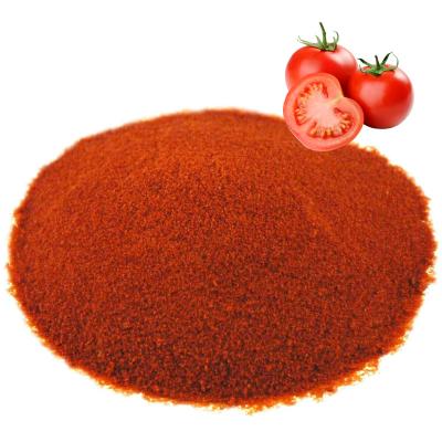 China New Dried Culture Dehydrated Spray Without Sugar Dried Tomato Powder for sale