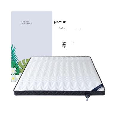 China Hot Sales Slim Boarding Bed Convertible With Mattress for sale