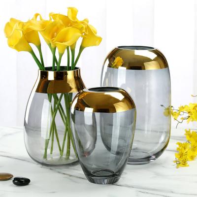 China Nordic Minimalist Hot Sales Morden Cheap Gold Plated Living Room Decoration Plants Glass Pot Hydroponic Vase for sale