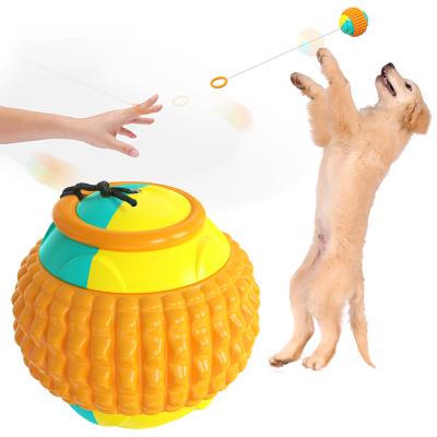 China Eco Dog Ball Toy Molar Bite Resistant Dog Ball Bite Resistant Elastic Christmas Pet Toys for sale