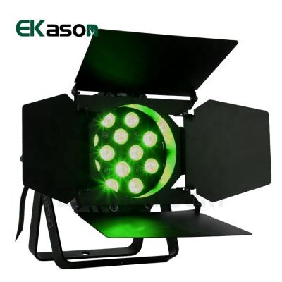 China 12pcs*3w theme park stage equipment light 3 in 1 led par light with baffle for disco DJ for sale