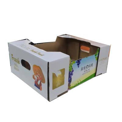 China Recyclable High Quality Corrugated Box Custom Environmental Cardboard White 4kg Carton Box Packaging Fruit for sale