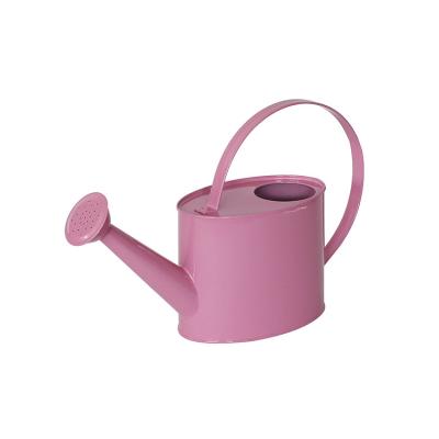 China Aquatic Plants Lace Decorative Garden Oval Metal Watering Can Wholesale for sale