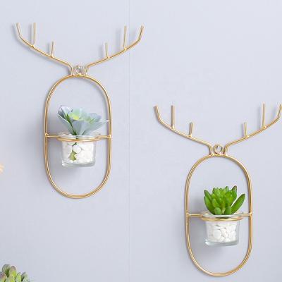 China Planter Modern Creative Metal Stand Wall Hanging Planter Wall Decor Living Room Planter Wall Hanging Deer Gold Glass Pot for sale