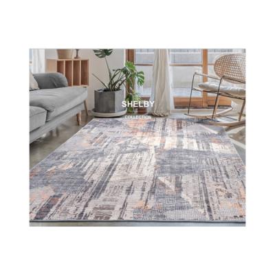 China Super Quality Reversible Home Carpets Living Room Decoration Bedroom Area Rug for sale