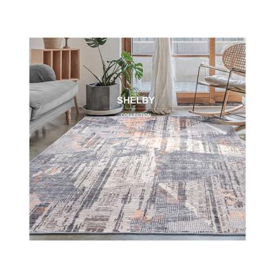 China 2022 Hot Selling Reversible Fur Soft Carpet Blankets Customized Printed Home Decorative Area Rug for sale