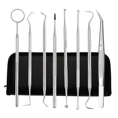 China 8 PCS Hygienic Dental Hygiene Kit 100% Stainless Steel Dentist Teeth Pick Tool Set For Home Use for sale