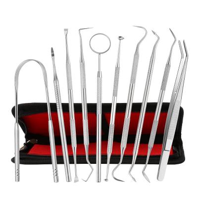 China Dental Scaler Kit Instrument Tweezer Hoe Sickle Probe Tooth Care Prepared Tool Set Mouth Stainless Steel Dentist for sale