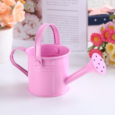 China Garden.farming Mini 500ML Water Sprayer Watering Pot Iron Plant Sprayer Flower Gardening Watering Box for sale