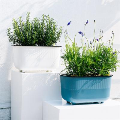 China Custom Modern Plant Self Watering Plant Strawberry Cactus Ports Pot PP Material Plant Pots for sale