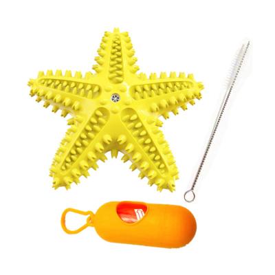 China 2022 New Viable Rubber Dog Toothbrush Toy Shaped Dog Chew Toys Dog Toothbrush Toy By Dental Rubber Starfish for sale