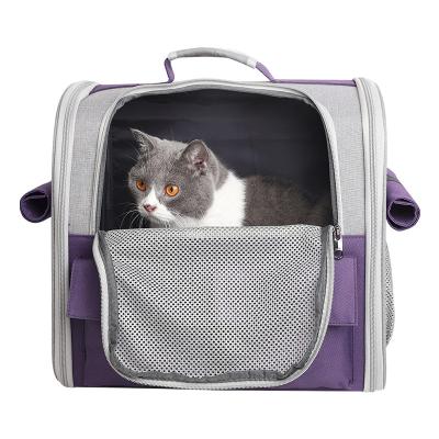 China Viable Custom Color Oxford Cloth Amazon Cat Bag School B031 Cat Bags Luxury Pet Bags for sale