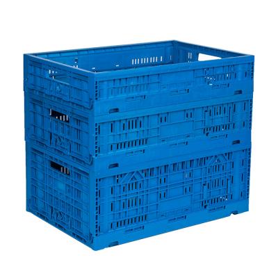 China Best Price Recyclable Customized Collapsible Plastic Vegetable And Fruit Crates Foldable Mesh Box for sale