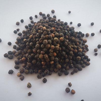 China High Grade Natural Whole Black Pepper Granule Dried Pepper Black for sale