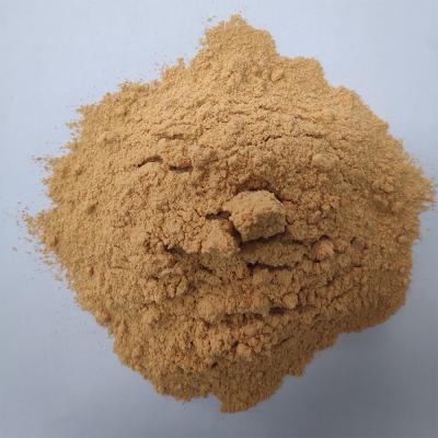 China Good Quality Garlic Flavor Marinade Powder Tasty Fried Chicken Seasoning Spice for sale