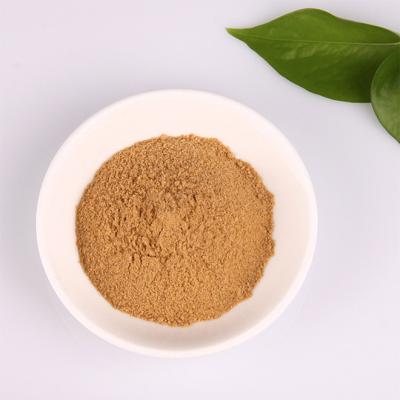 China fried chicken seasoning powder mixed spices black pepper flavor sprinkle powder for sale