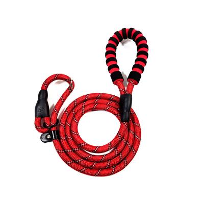 China New Thoughtful Design XG6025 Wholesale Prevent Squeezing Pet's Neck Nylon Dog Leash With Comfortable Foam Handle for sale