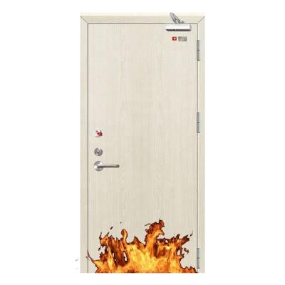 China BS Certificate Modern Steel Fire Proof Door 60 Min To 90 Min Steel Fire Rated Door for sale