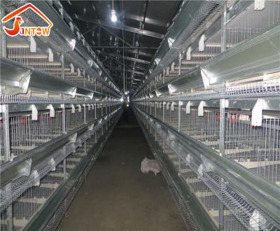 China Labor Save Most Popular Used Automatic Battery H Type Poultry Layer Chicken Cage For Sale for sale