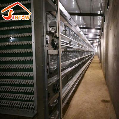 China Farms Factory Chicken Cage Layer Poultry For Chicken Farm / Model Poultry Cage for sale