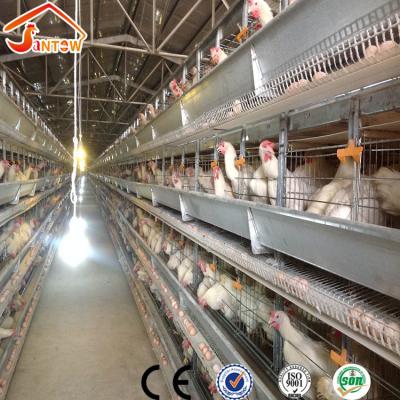 China Durable Poultry Battery Cage Farm Equipment Breeding Chicken Cage For Egg Laying Design 3 Or 4 Layer for sale