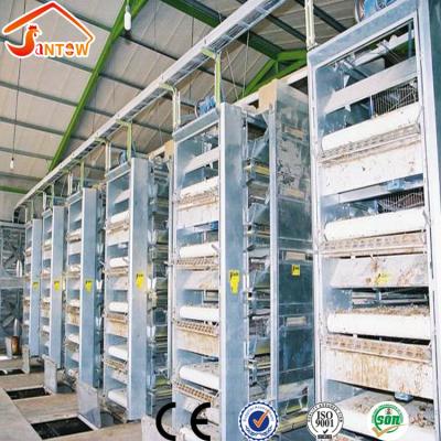 China Factory Price Chicken Layers Cage / Young Chickens Cages for sale