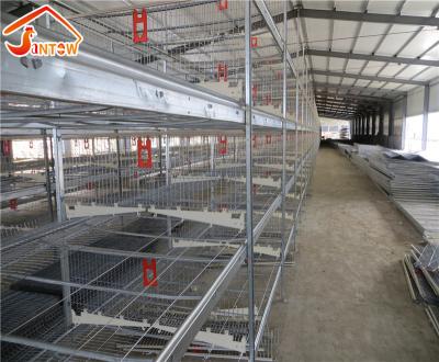 China Cultivates most chicken poultry farm equipment automatic chicken cage h type name for sale