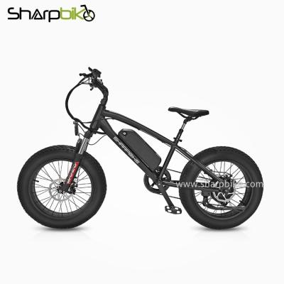 China Standard 20 inch fat tire tire 350W/500W SP20EFB-Y electric bike for sale