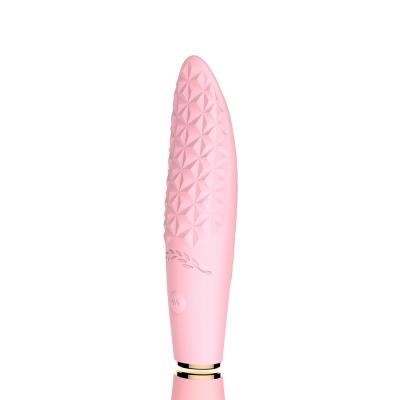 China Silicone+ABS 2021 Rechargeable Waterproof Ladies Vibrators Sex Toys for sale