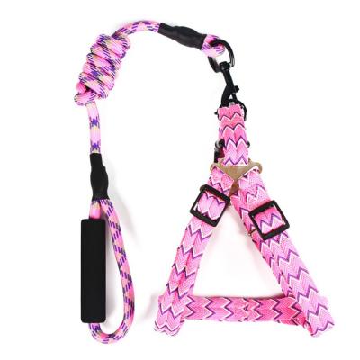 China High Quality Nylon Custom Small Dog Harness And Leash For Pets for sale