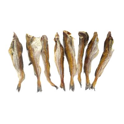 China 100% Natural Viable Yellow Whiting Fish Dried Anchovies Small Fish Snack For Dogs And Cats for sale