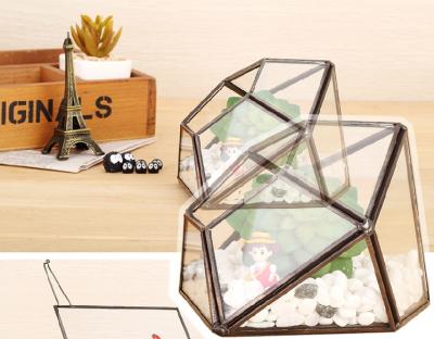 China Irregular Eternal Mini Geometric Glass Terrarium Micro Landscape Brass Black for sale