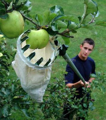 China Lightweight Lightweight Aluminum Telescopic Fruit Picker for sale