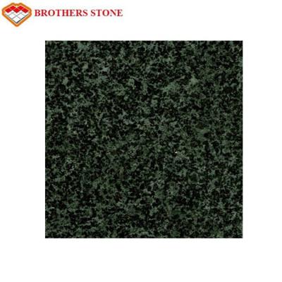 China High Polished Forest Green Granite Cut To Size Granite Polishing Pads for sale