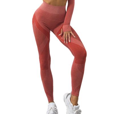 China Breathable Nylon Spandex Lift Up High Waist Women Yoga Pants Custom Fitness Butt Sports Workout Yoga Lifting Gaiters for sale