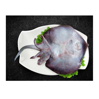 China Factory Wholesale FROZEN Stingray Wing Fillet Fresh Food Frozen Stingray Wing Fillet for sale