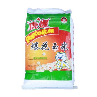 China Hot Selling Dried Butterfly Popcorn Mushroom Popcorn Seeds for sale