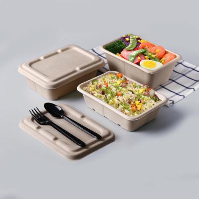 China Viable Disposable Molded Paper Pulp Light Food Salad Box Packing Box Takeout Lunch Box for sale