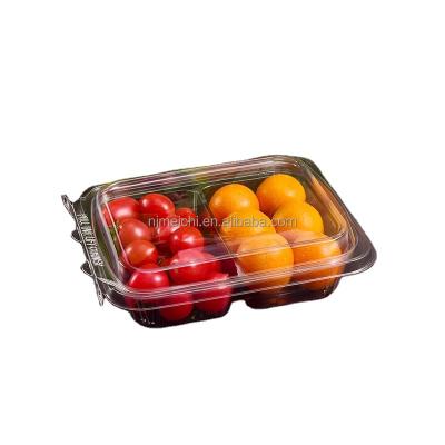 China Disposable Boxes For Plastic Disposable Fresh Fruit Food Container Two Transparent Lattices for sale