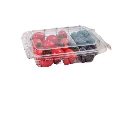 China Steamable fruit box with transparent cover anti-theft dried fruit Salata 001-B for sale