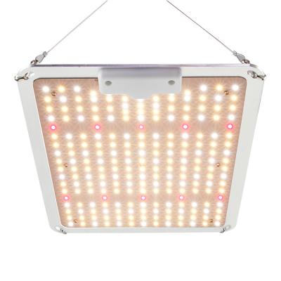 China Seed Starting 3 Years Warranty SMD3030 110W 170lm/W Aluminum Body LED Factory Grow Lights for sale