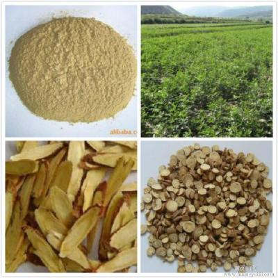 China Licorice Root Extract/Glycyrrhizic Flavone 10%-98%(HPLC)/CAS NO.:1405-86-3 for sale