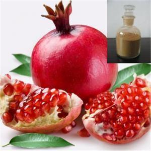 China 100% Pomegranate Hull Extract / Water Soluble Pomegranate Extract for sale