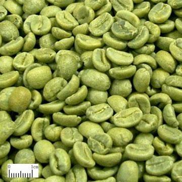 China Natural Green Coffee Bean Extract with 50% Chlorogenic Acid for sale