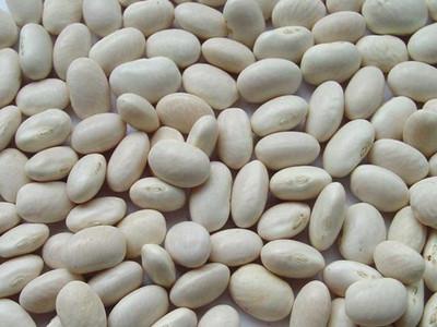 China High quality Pure White Kidney Bean Extract Wholesale, Natural White Kidney Bean Extract for sale