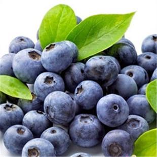 China Acai Berry / Brazilian Acai Extract for sale