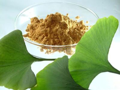 China Ginkgo Flavone Glycosides24% Ginkgo Biloba Extract Powder for sale