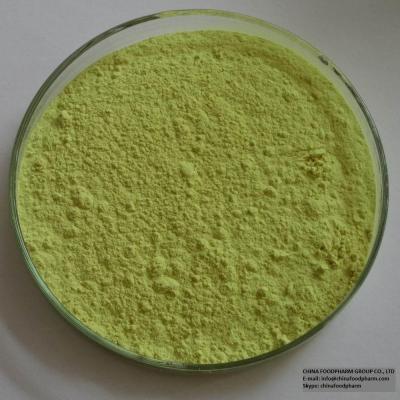 China Natural Dihydroquercetin 98% Larix sibirica ledeb, best price/CAS: 480-18-2 for sale