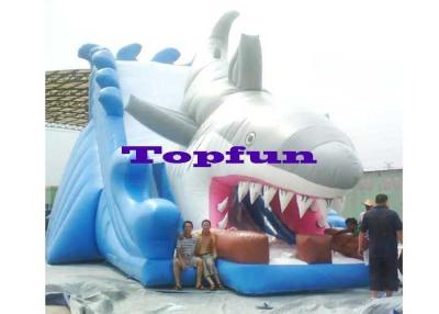 China Great White Shark Kids Inflatable Slides Inflatable Dry Slides Amusement for sale